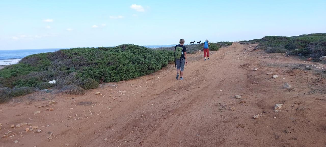 La Medusa Gardens Iskele District  外观 照片