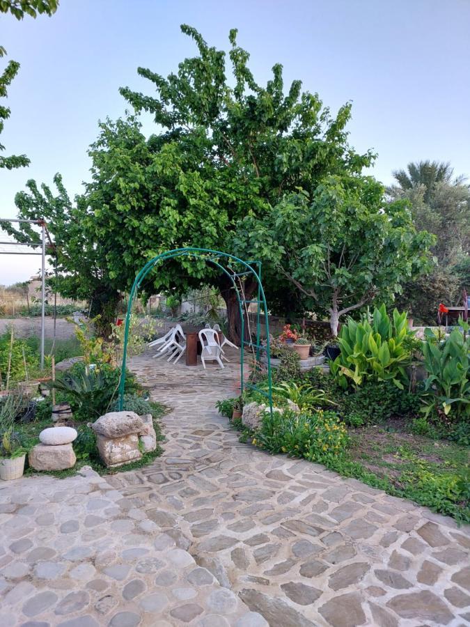 La Medusa Gardens Iskele District  外观 照片